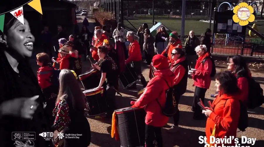 An outdoor band and audience on St David’s Day