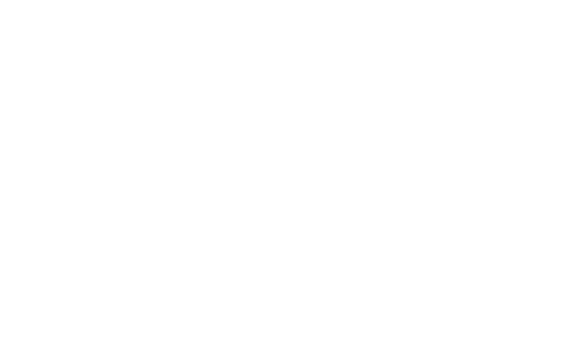 FOCUS Wales