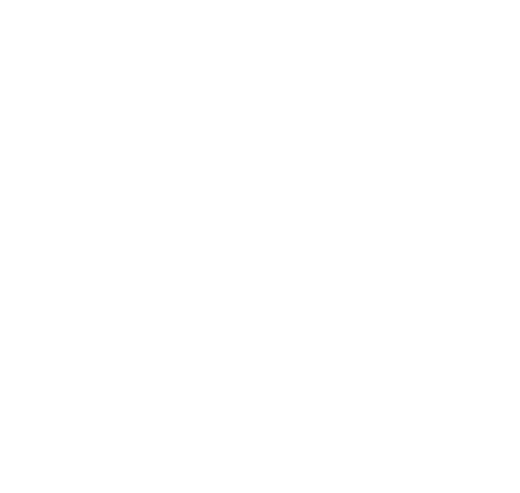 S4C