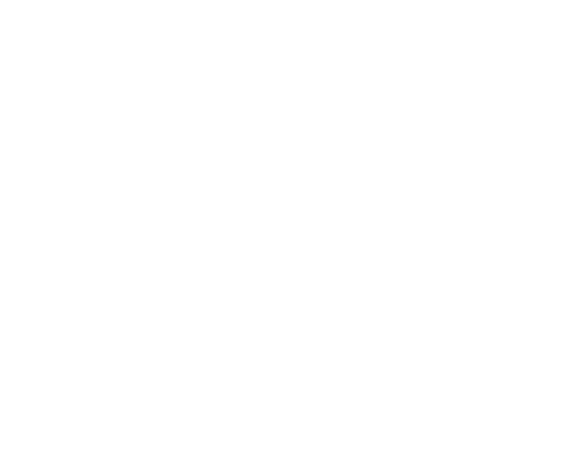 The Hold Up