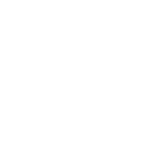 Welsh Government